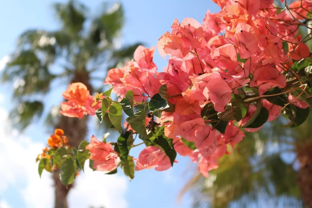 Holiday home Cala Serena Beach 6